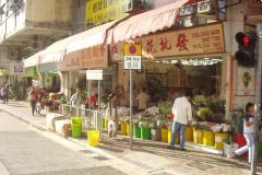 Flower Market Kowloon